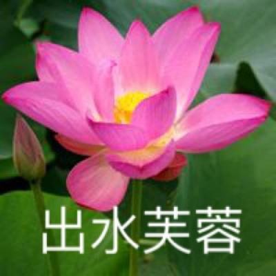 古剑灵域手游